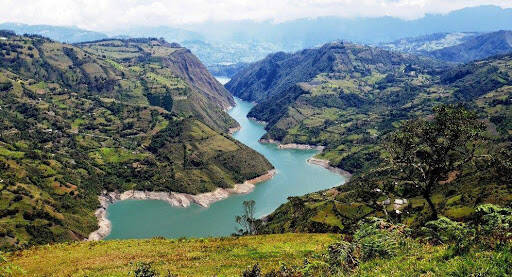 Negocio Alberto Lleras Dam