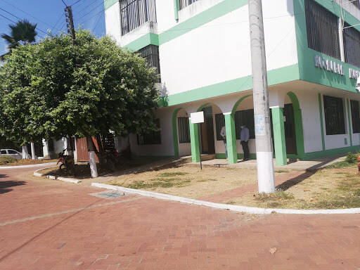 Negocio Alcaldia San Luis De Palenque