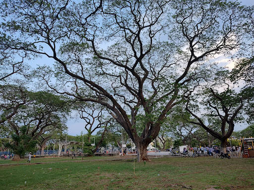 Negocio Algarrobillos. Park