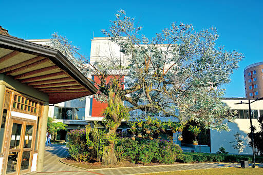Negocio Autonomous University Of Manizales