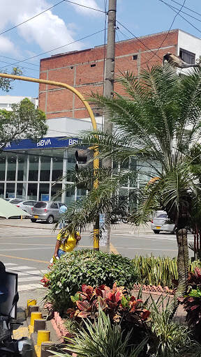 Negocio Av Villas Norte