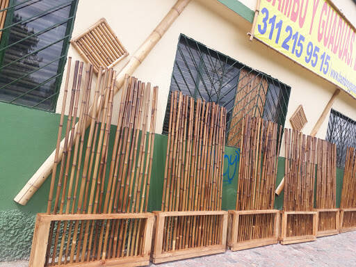banco Bamboo And Guaduas In Colombia