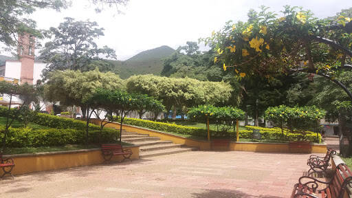 Negocio Bancamía Planadas