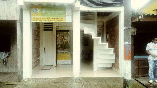 banco Banco Agrario De Colombia