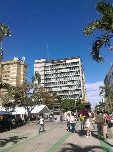 Negocio Banco De La República