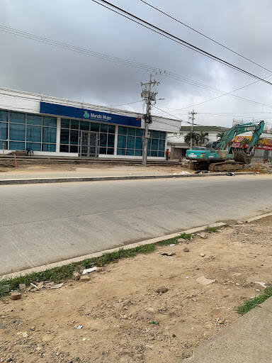 Negocio Banco Mundo Mujer