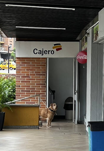 Negocio Bancolombia Cajero