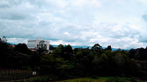 Negocio Bancolombia Clinica Somer