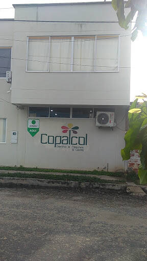 Negocio Bancolombia Corresponsal Bancario