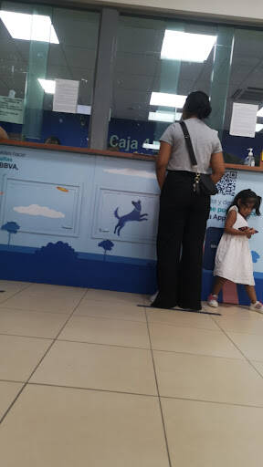 Negocio Bbva