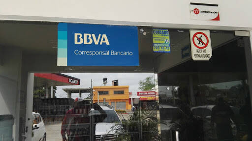 Negocio Bbva Corresponsal