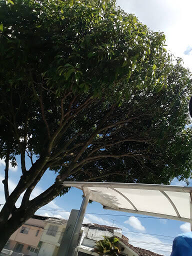 Negocio Benito Juarez Park