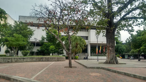 Negocio Biblioteca Banco De La República
