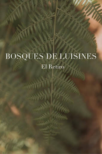Negocio Bosques De Luisines