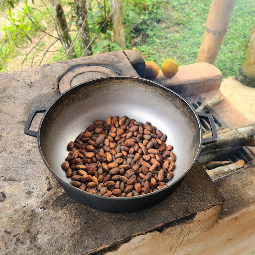 Negocio Cacao Tour Colombia - Con Olor A Cacao