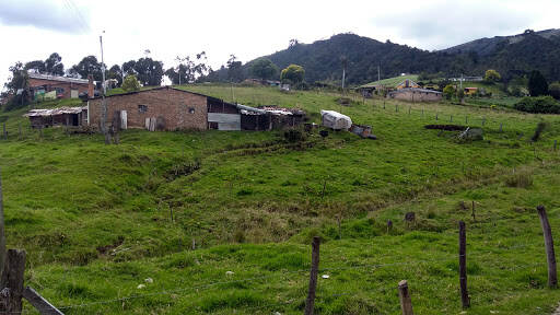 Negocio Camping Neusa