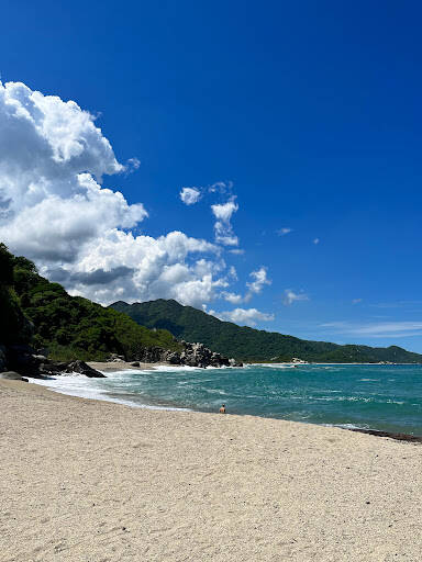 Negocio Canaveral Beach