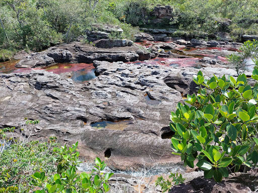 Negocio Caño Cristales Agencia De Viajes