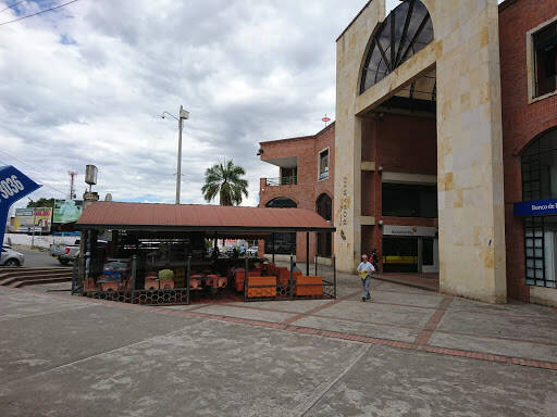 Negocio Centro Comercial Paseo Del Rosario