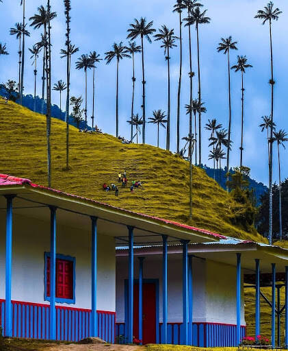 Negocio Cocoratours, Valle Del Cocora