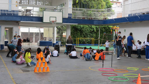 Negocio Colegio Latino. Preescolar, Básica Y Media