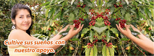 Negocio Contactar Microfinanciera