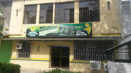 Negocio Coobagre - Cooperativa Multiactiva El Bagre