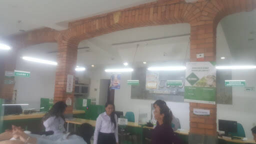 Negocio Cooperativa Cooptenjo