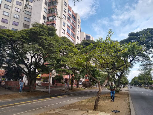 Negocio Corresponsal Bancario Bancolombia