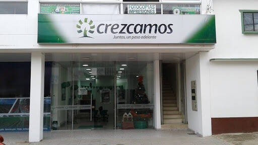 Negocio Crezcamos