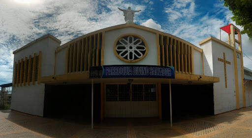 Negocio Divine Savior Church