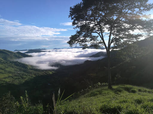 Negocio Eds Topaipi