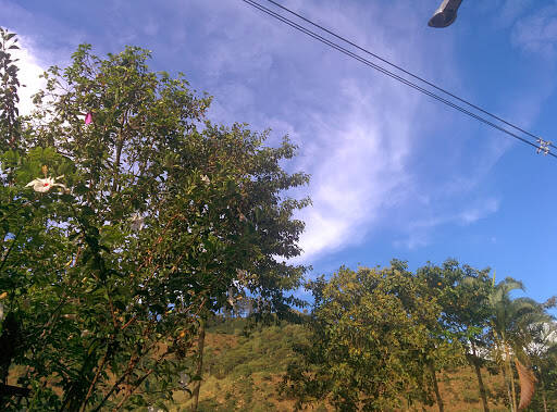 Negocio Efecty - Servientrega