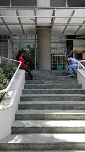 Negocio Empresa Activos