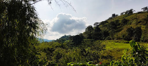 Negocio Finca La Cabaña