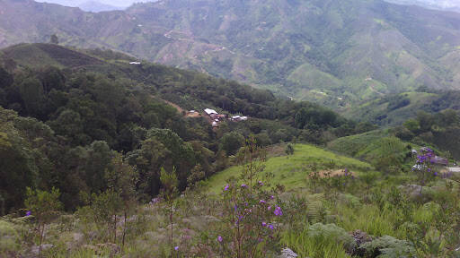 Negocio Finca La Nueva Reforma