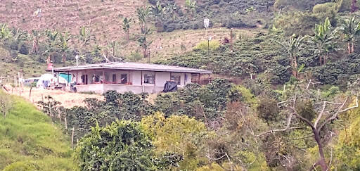 Negocio Finca La Pastora