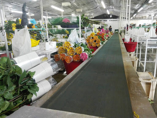 Negocio Floramérica S.A.S.