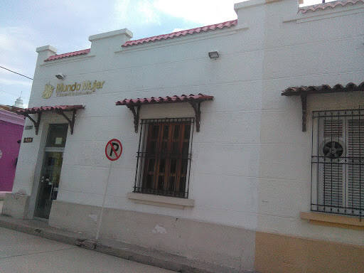 Negocio Fundación Mundo Mujer