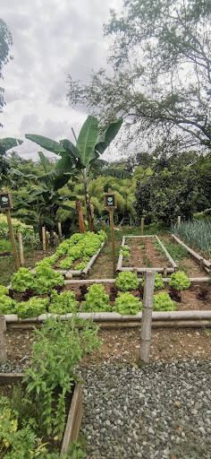 Negocio Fundación Panaca