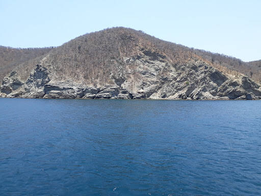 Negocio Granate