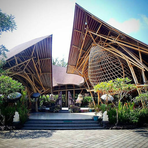 banco Guadua Y Bambu Colombia
