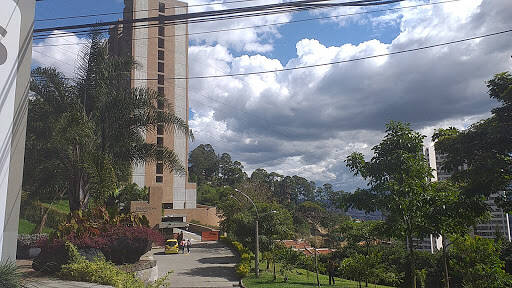 Negocio Guayacanes De San Diego