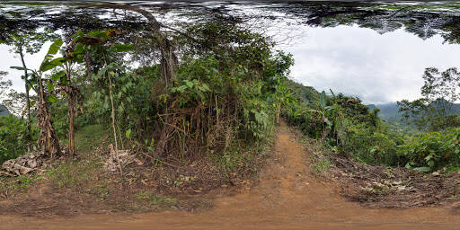 Negocio Hacienda Aurora