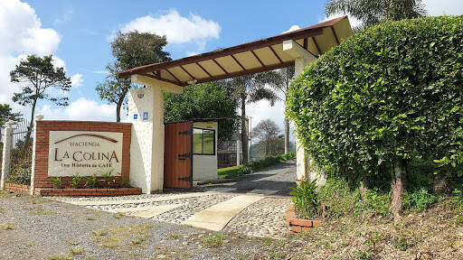 Negocio Hacienda La Colina