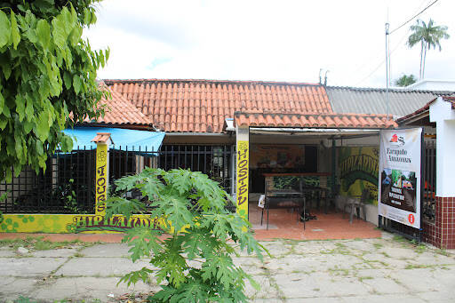 Negocio Hipilandia Amazonas Hostel