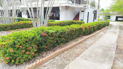 Negocio Hotel Palaguas