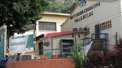 Negocio Institución Educativa Vallejuelos