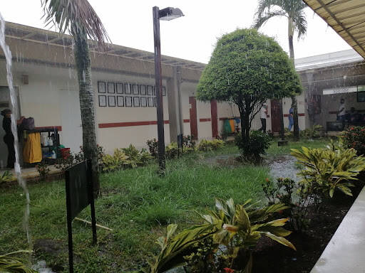 Negocio Ips Comfandi Morichal
