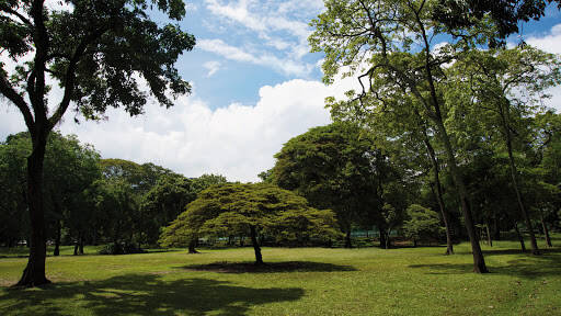 Negocio Jardín Botánico De Medellín